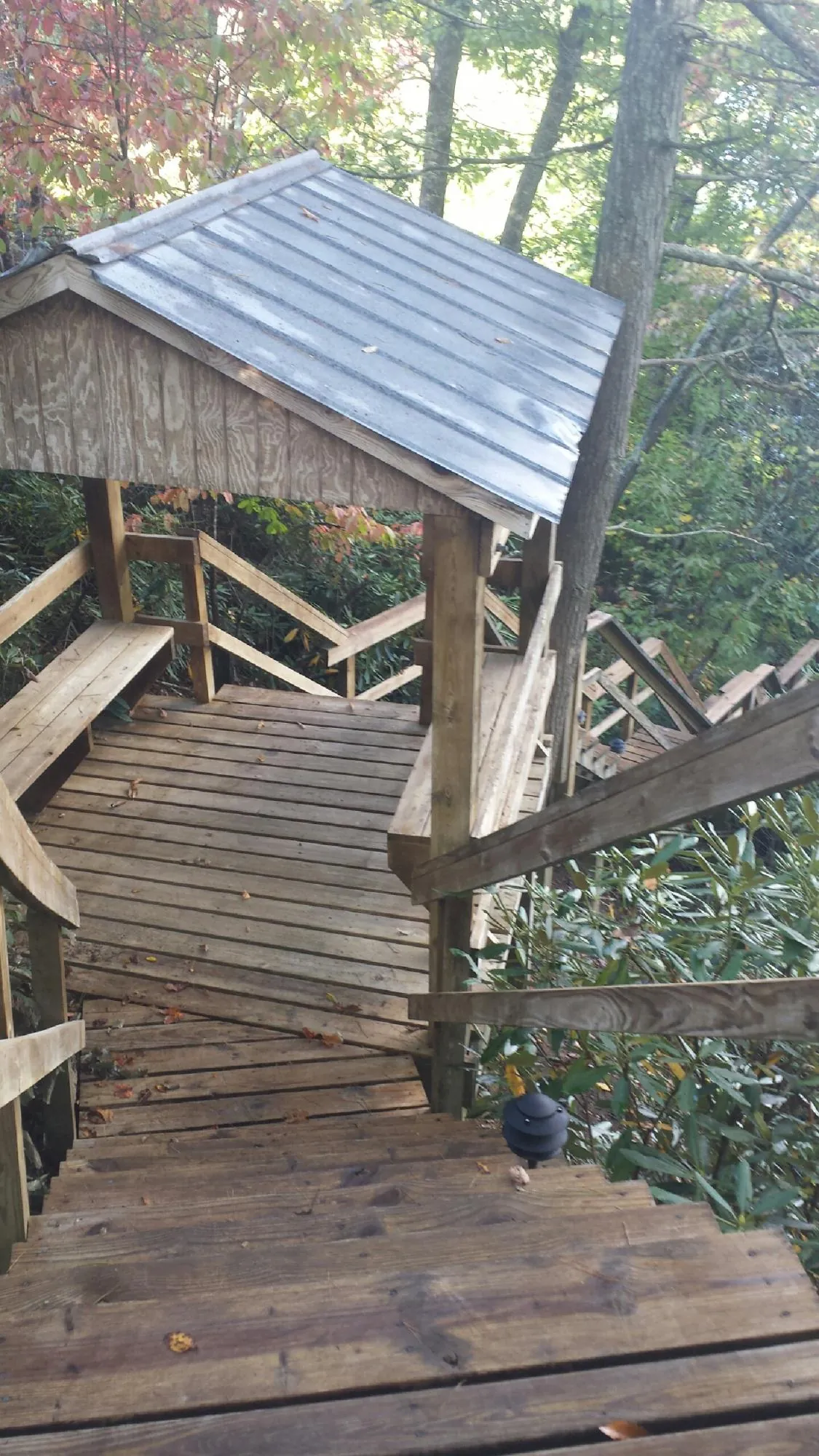 Metal roofed shelter over wooden steps on a wooded walkway — Skylight Repair & Installation work by our crew in Watkinsville